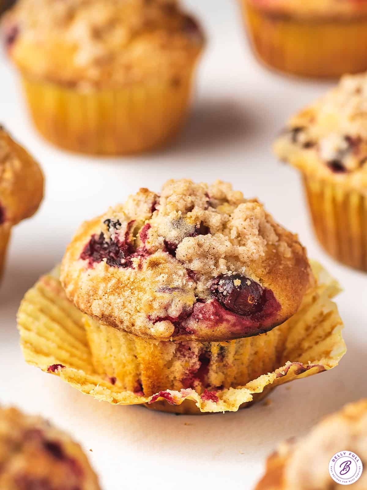 Cranberry Orange Muffins with Strusel Topping: Professional Recipes Amazing Cranberry Orange Muffins with Strusel Topping