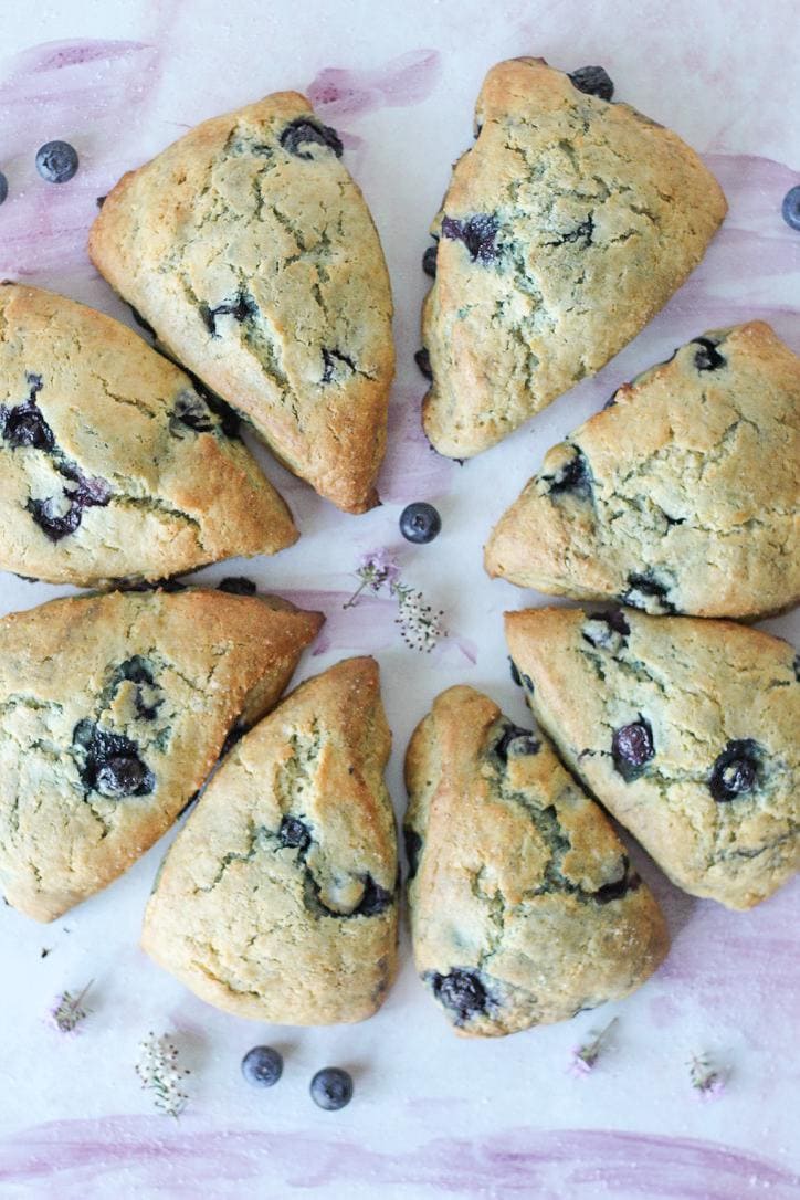 Blueberry Scones: Professional Recipes The Best Fresh Blueberry  Scones